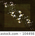 Cherry Blossoms	 104498