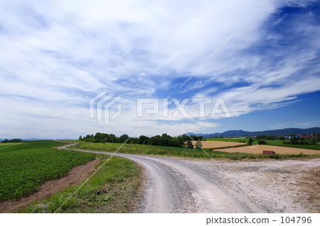 轉彎道路 104796