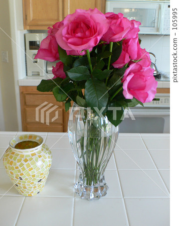 Rose of a vase Rose of a vase 105995