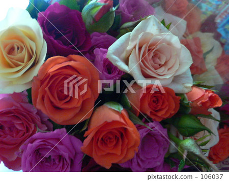 Bouquet of roses Bouquet of roses 106037