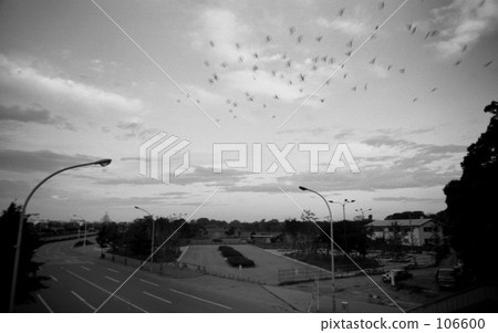 原宿·清晨代代木公園主門1970年 - 昭和45 原宿·清晨代代木公園主門1970年 - 昭和45 106600