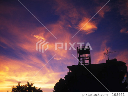 在秋天閃耀 108461