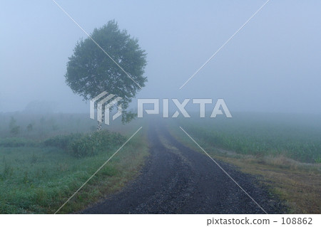 在晨霧中奔跑 108862