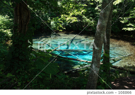 God's Pond 108866