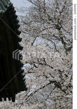 shrine building, nippon, outdoor 108946