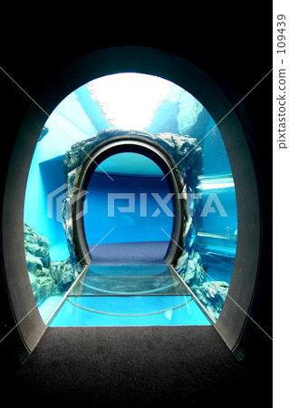aquarium, undersea tunnel, shinagawa aquarium 109439