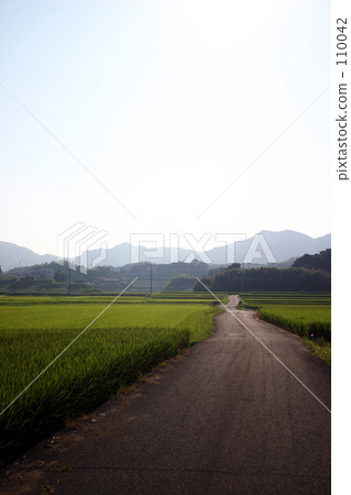 Village landscape 110042