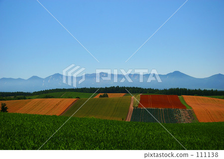 Patchwork Hill 111138