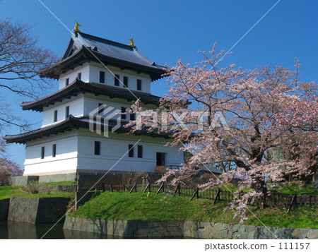 Matsumae castle and cherry blossoms 111157