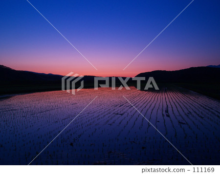 在日落以後的稻田 111169