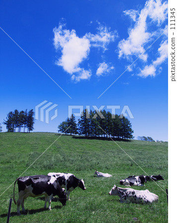 Ranch scenery 111345
