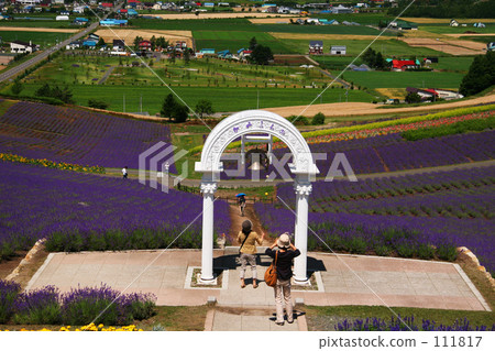 Sunrise lavender garden 111817