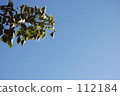 天空 112184
