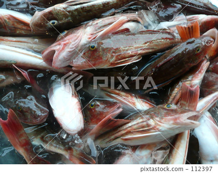 在漁港的漁船 112397