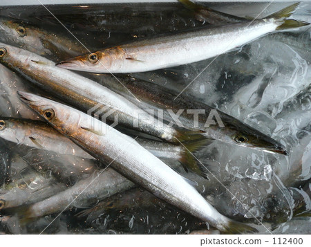 Camas at the fishing port 112400