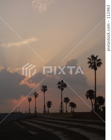 Dawn of Miyazaki Marina 112963