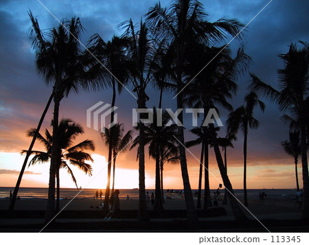 Evening scenery of Honolulu Evening scenery of Honolulu 113345