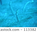 Shinju Economy 113382