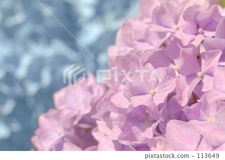 Being caught in soft light 113649