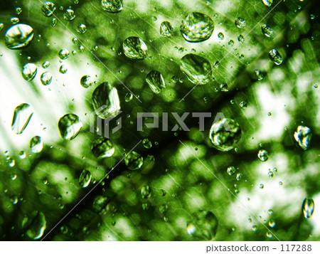 1 in the rain shudder 1 in the rain shudder 117288