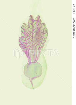 radish, beet, vegetables 118174