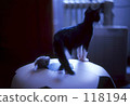 Interest 118194