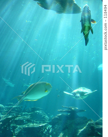 Ryugu城堡Ⅱ Ryugu城堡Ⅱ 118494