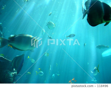 龍宮城堡Ⅲ 龍宮城堡Ⅲ 118496