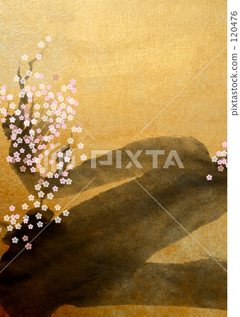 Cherry Blossoms	 120476