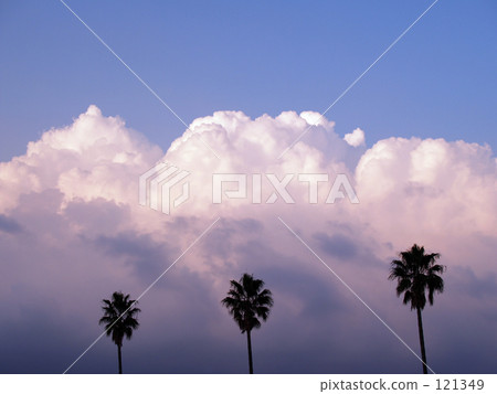 紫雲和shuro 121349