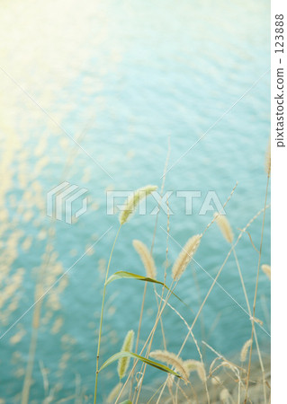 Color of autumn wind Color of autumn wind 123888