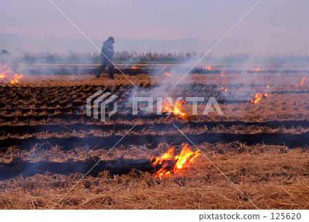 Straw-grilled 125620