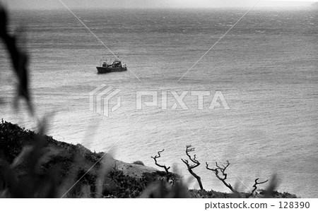 Izu Nanashima: Niijima Showa 45 years 128390