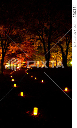 秋葉 楓樹 紅楓 130354