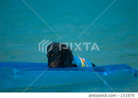 Let's play in the sea!? Let's play in the sea!? 131670