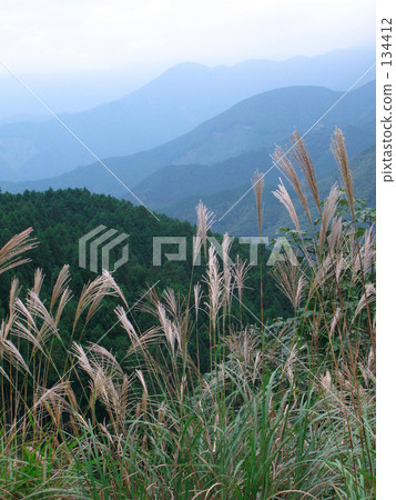 Akiyama Megumi Tsukasu Akiyama Megumi Tsukasu 134412