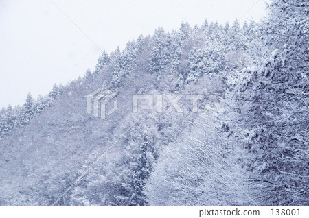 雪域森林 138001