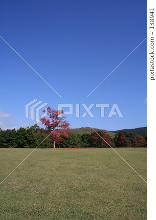 Hill's autumn leaves 138941