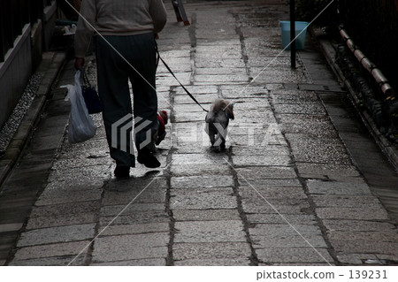 Walking in the alley of the ancient capital 139231