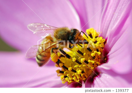 "It is too dirty!" 139377