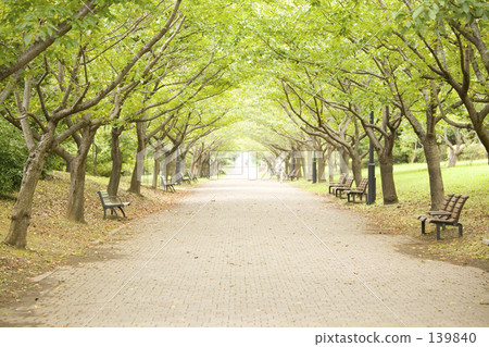 environmental issue, environmental problem, straight 139840