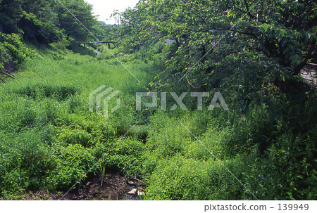 我的Numata Rice·Spring Minamusuke Funabori 0135 139949