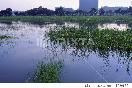 男人Numagadake·夏天0137 139952