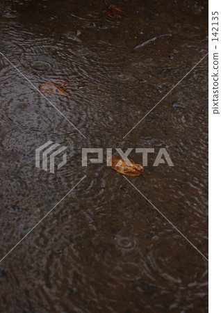 Ground rain Ground rain 142135
