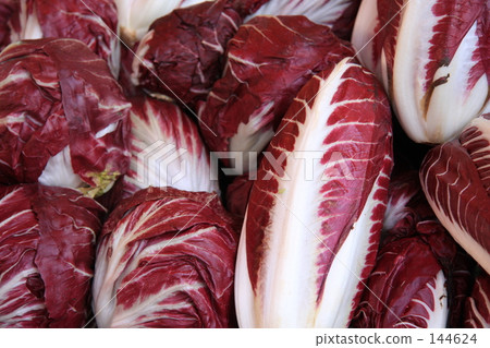 Romaine lettuce 144624