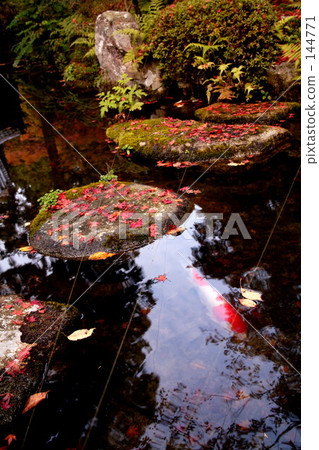 07 Kinshu 07 Kinshu 144771