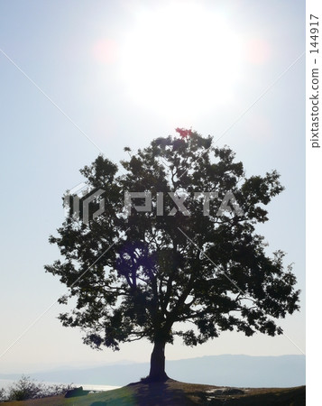 under the sun 144917