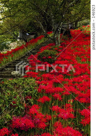 方法的顏色 方法的顏色 146923