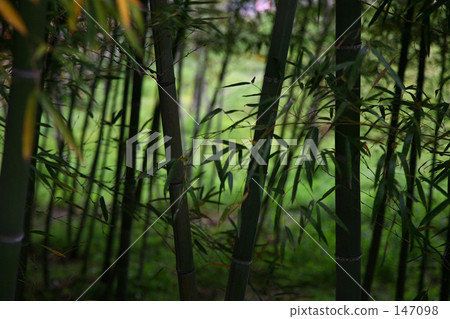 新年快樂 過年 新年好 147098