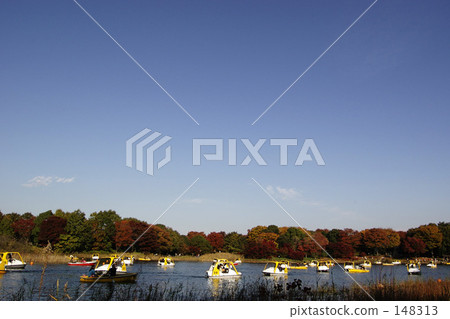 Park's pond Park's pond 148313